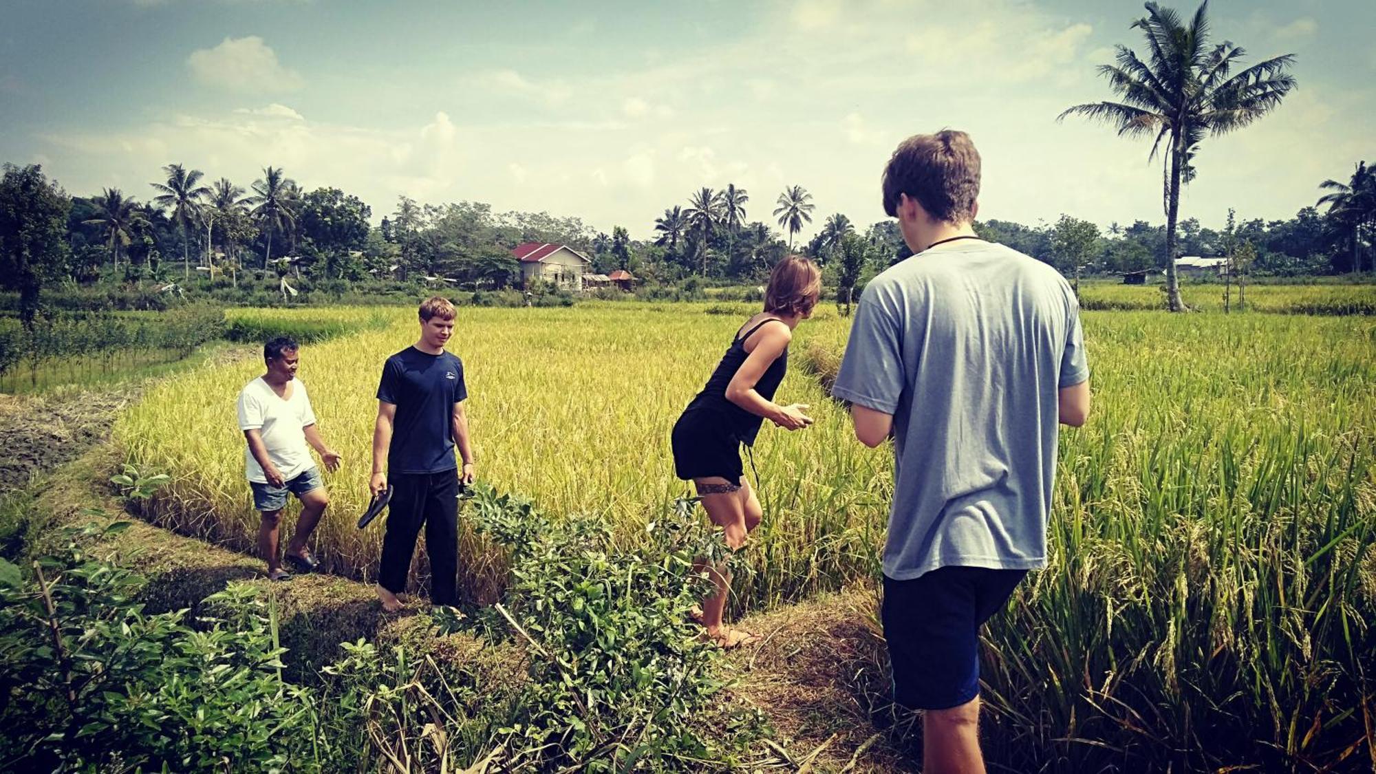 Bujak Permai Villa Matahari Lombok Ntb Praya Dış mekan fotoğraf