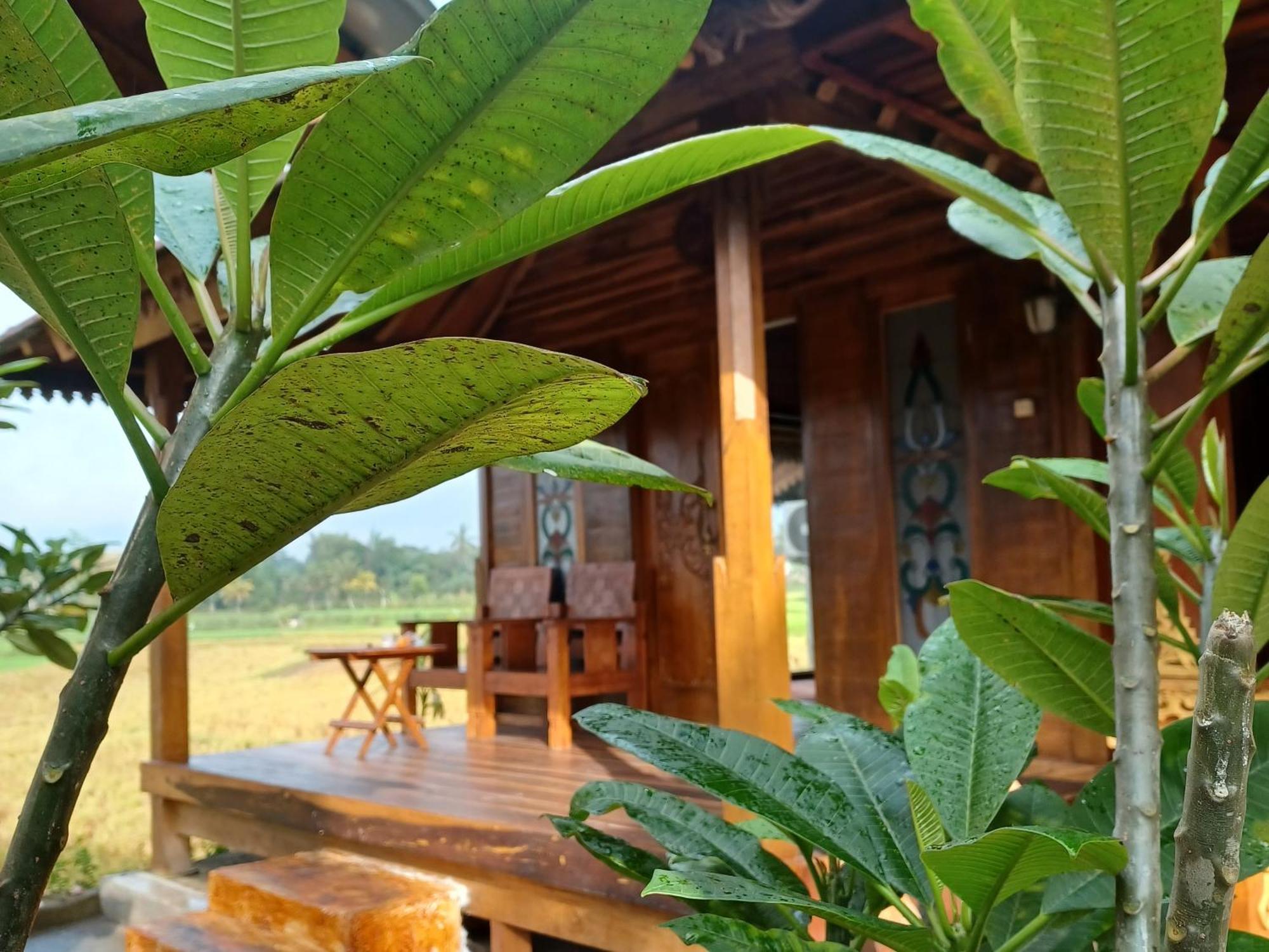 Bujak Permai Villa Matahari Lombok Ntb Praya Dış mekan fotoğraf